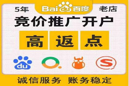 案例研究：百度推广托管助力电商品牌快速崛起